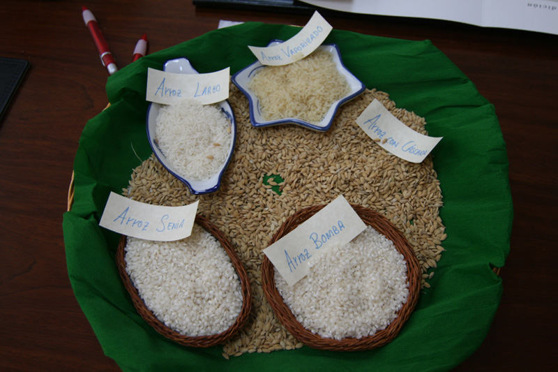 Reis aus Valencia - Bomba und Snia